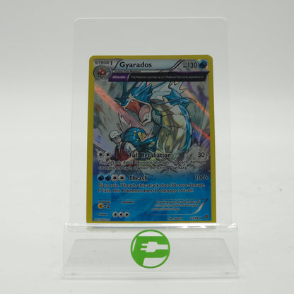 Pokémon TCG MCAP Gyarados  21/98 English